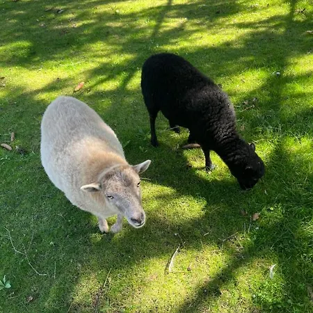 Pensjonat La Parenthese Flechoise, Armand La Flèche