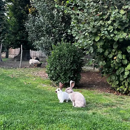 La Parenthese Flechoise, Armand Pensjonat 3*