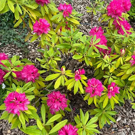 La Parenthese Flechoise, Armand Pensjonat La Flèche