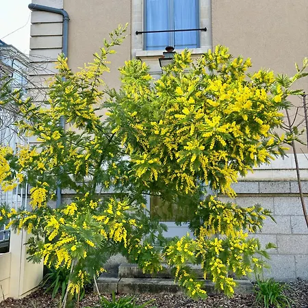 La Parenthese Flechoise, Armand La Flèche