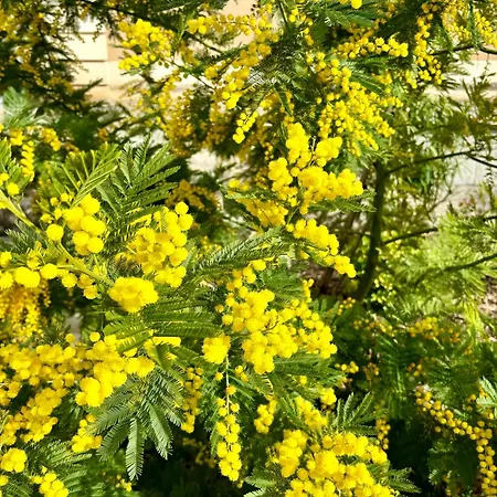 Pensjonat La Parenthese Flechoise, Armand